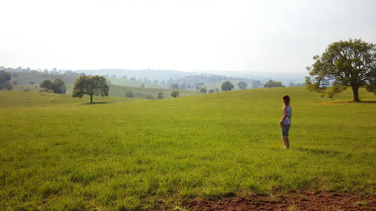 Paz natural en un campo extenso