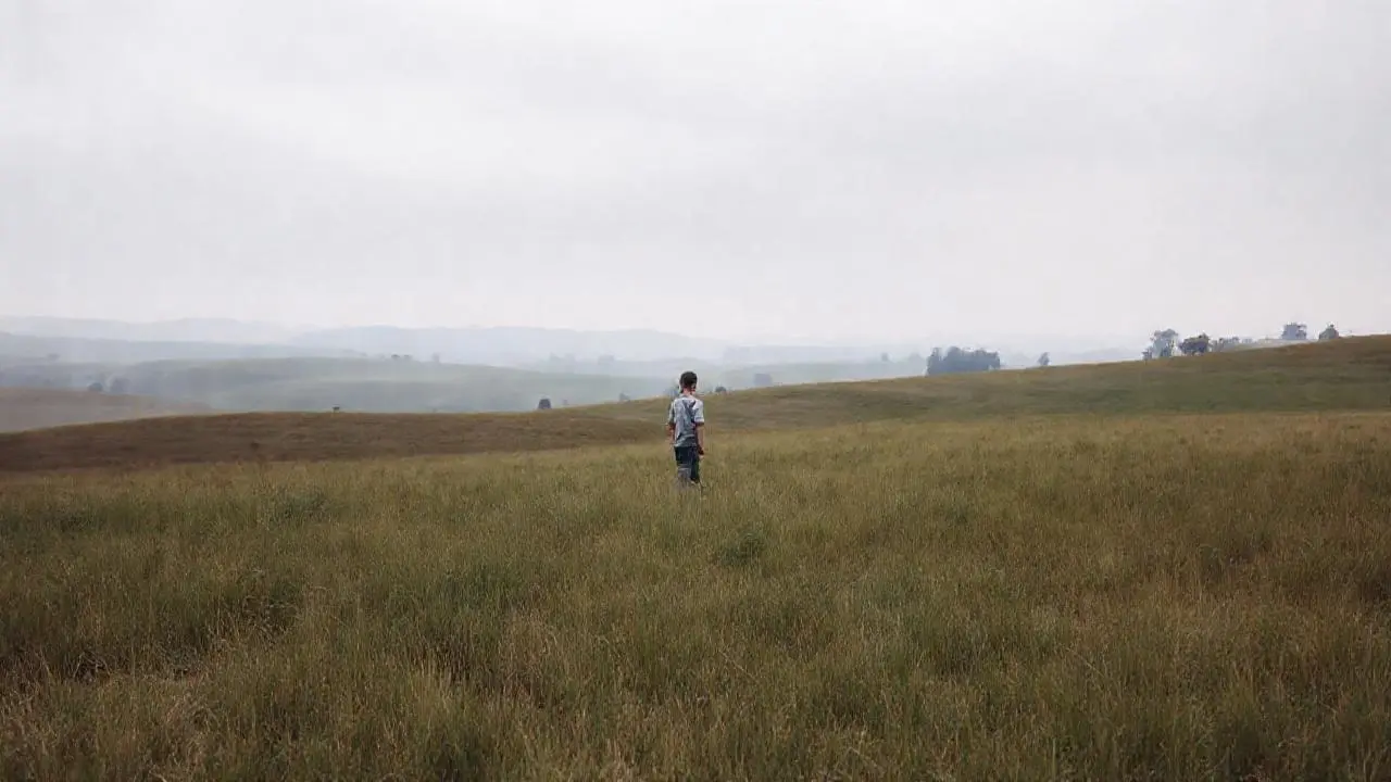 Paisaje tranquilo, figura solitaria y luz suave