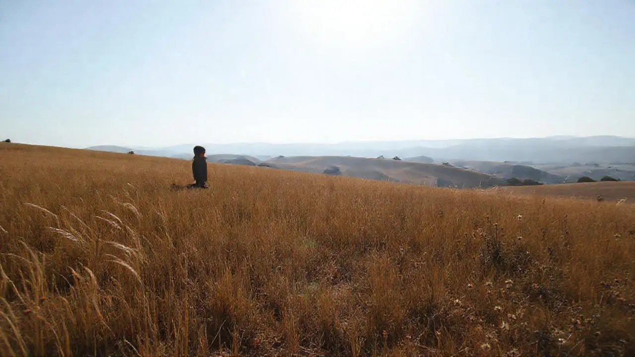 Paisaje sereno, figura solitaria caminando